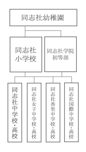 同志社の進学先の表