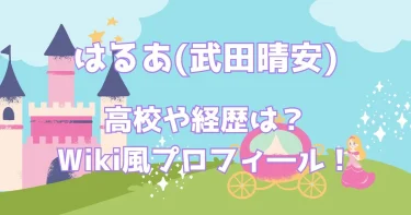 はるあ(武田晴安)の高校は？Wiki風プロフ！身長や経歴や彼氏など