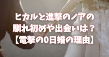 ヒカルと進撃のノアの馴れ初めや出会いは？電撃の0日婚の理由とは？