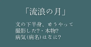 『流浪の月』下半身どうやって撮影？文の病気や母親・最後のセリフ【ネタバレ注意】