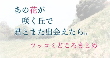 『あの花が咲く丘で、君とまた出会えたら。』ツッコミどころ多すぎ！違和感6選は？