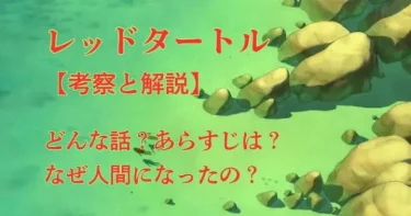 【考察】『レッドタートル』意味不明なシーン3選│人間になった理由と結末の意味とは？