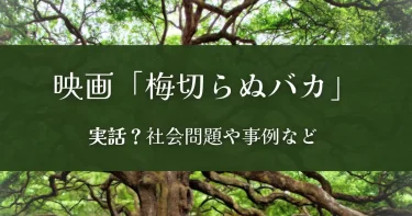 『梅切らぬバカ』実話？監督の経験と「親亡き後」の過酷な現実
